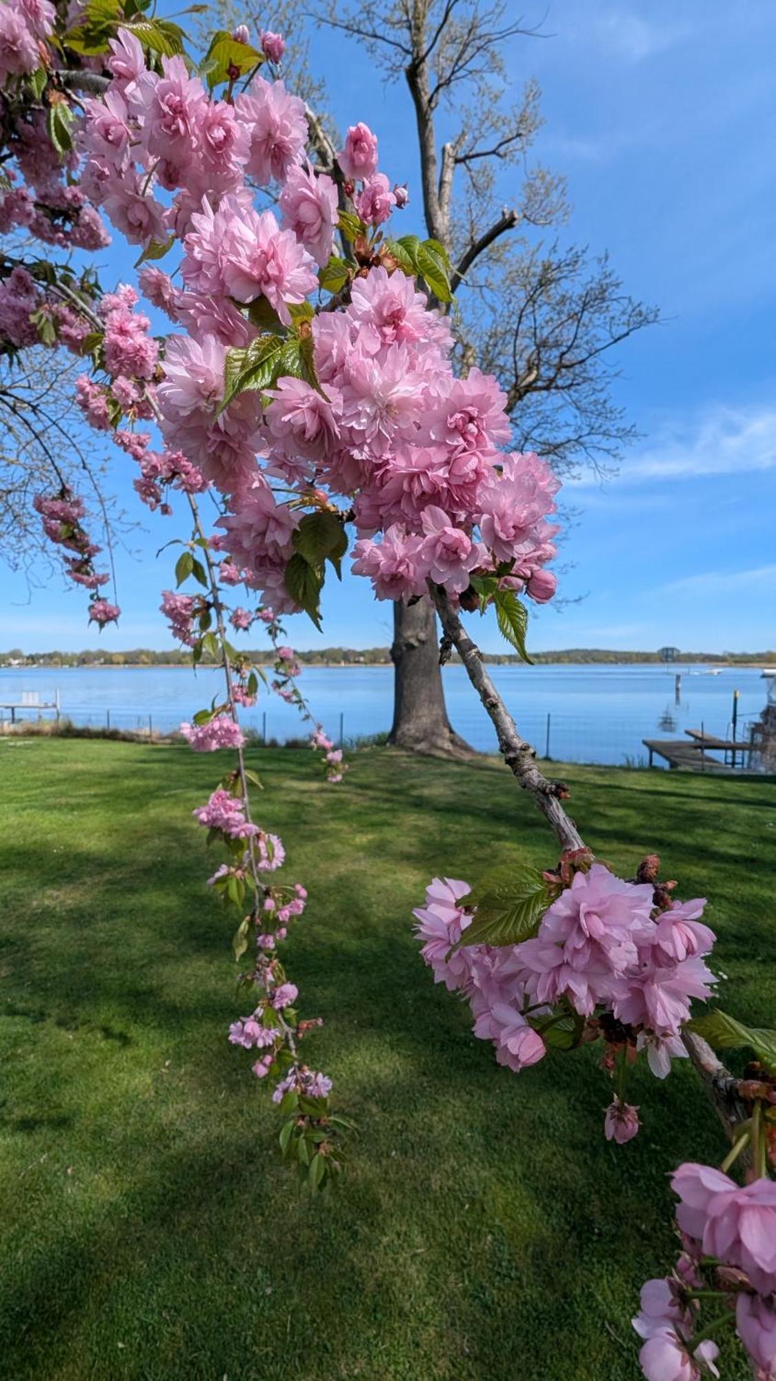 Casa Sul Lago Werder  Dış mekan fotoğraf